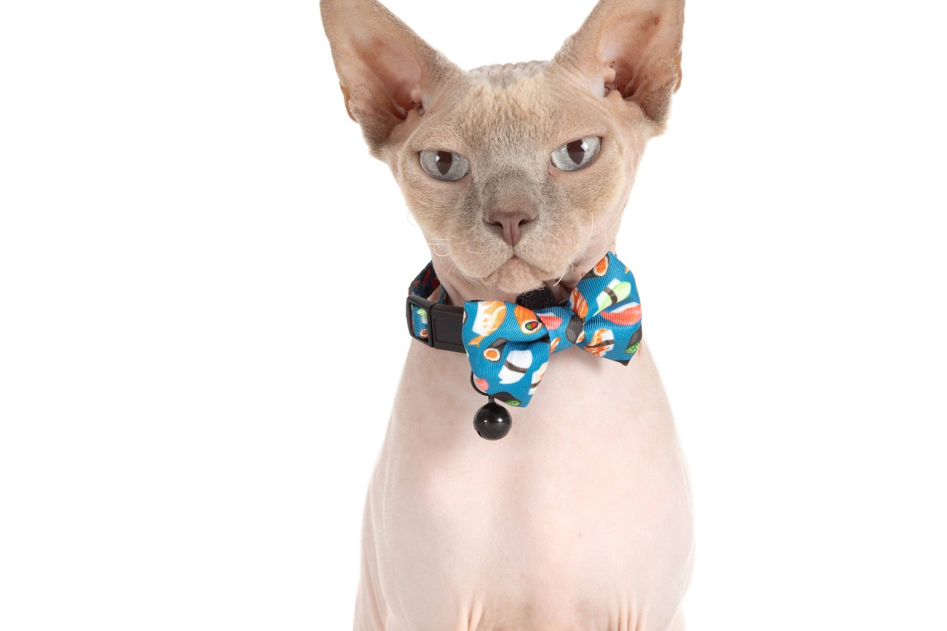 CAT COLLAR & BOW TIE: Sushi Makes Miso Happy Little Kitty Co. XS