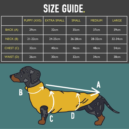 Dachshund Fleece Jumper Preorder for Winter dog jumper doghouse