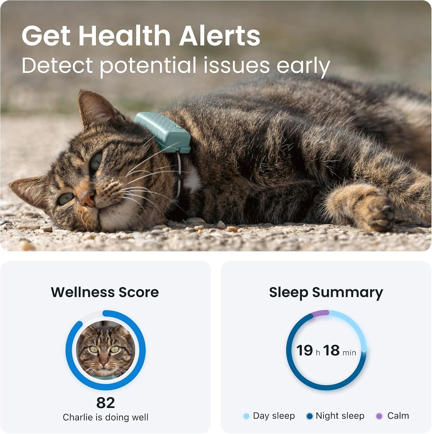 Tractive Mini GPS Cat Tracker | Market Leader | Real-Time Location Tracking | Location History | Monitor Activity | Collar Included Woofy and Whiskers