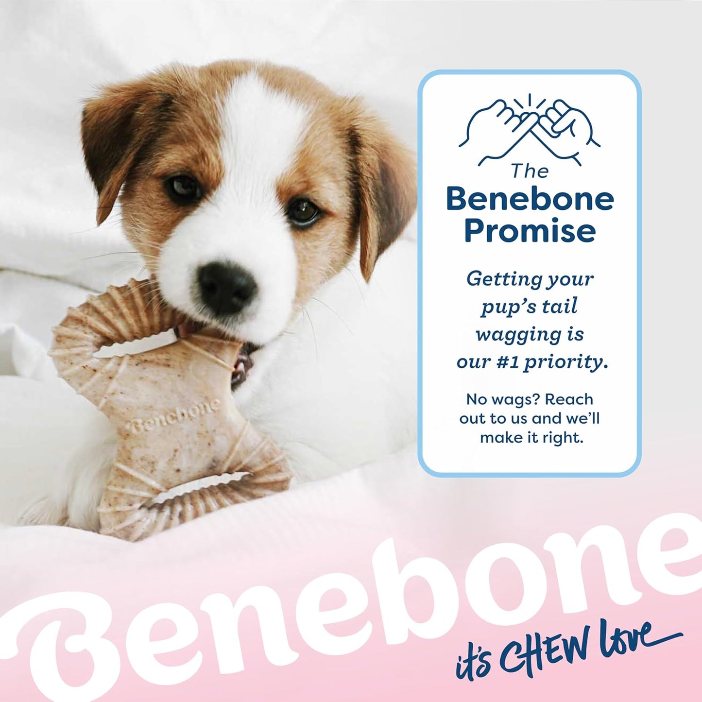 Puppy with a Benebone chew toy and the Benebone Promise text on a light background