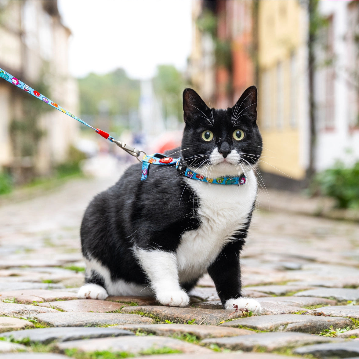 Max and Molly Cat Harness leash Set - Little Monster1 Size cat harness Max & Molly Urban Pets