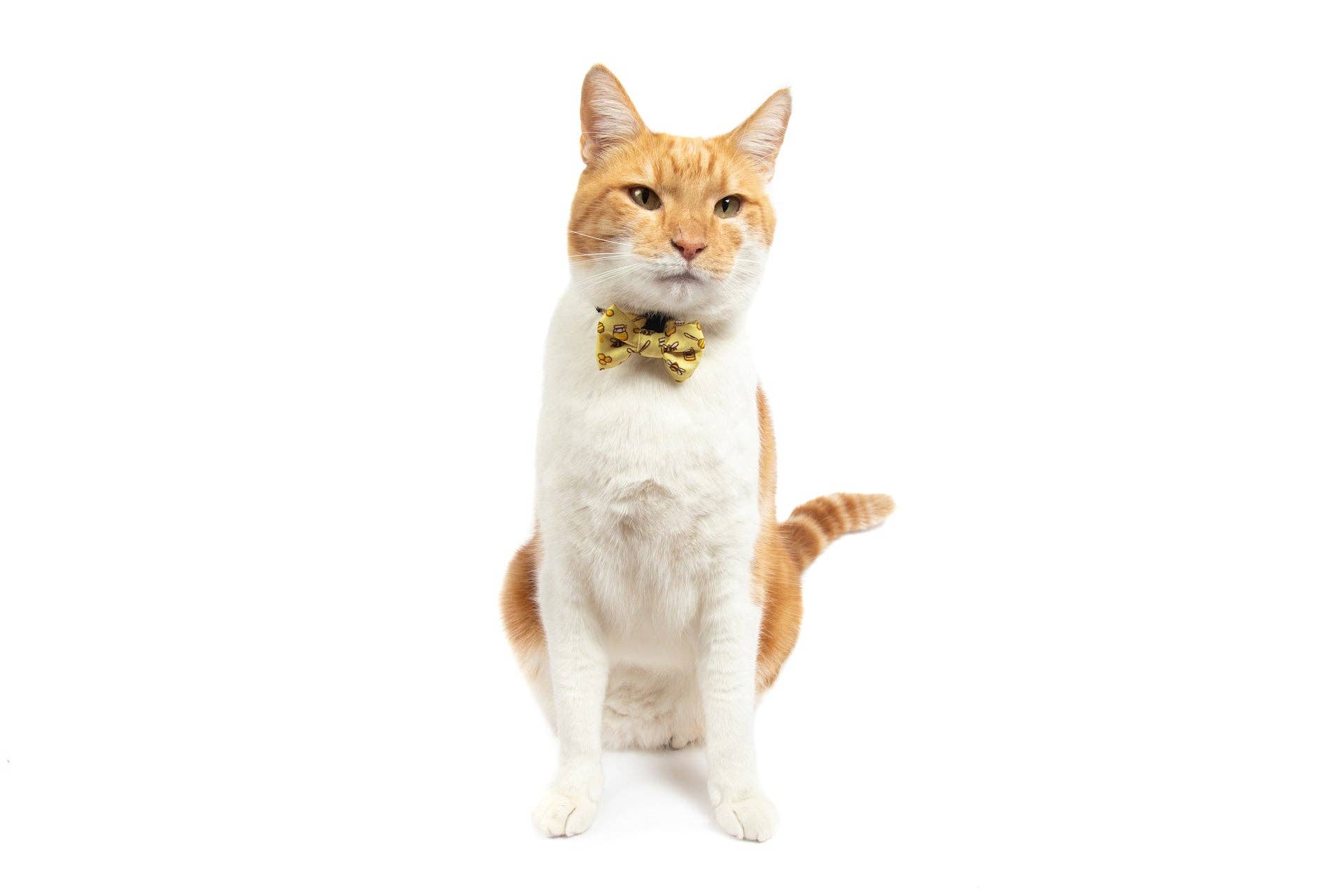 Little Kitty Co CAT COLLAR & BOW TIE: Bee-Hiving Little Kitty Co.