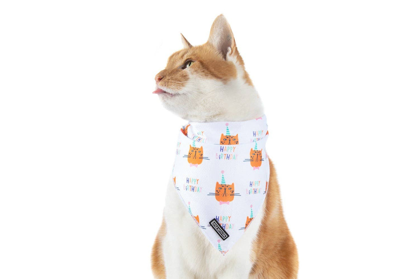CAT BANDANA: Happy Birthday Little Kitty Co. S