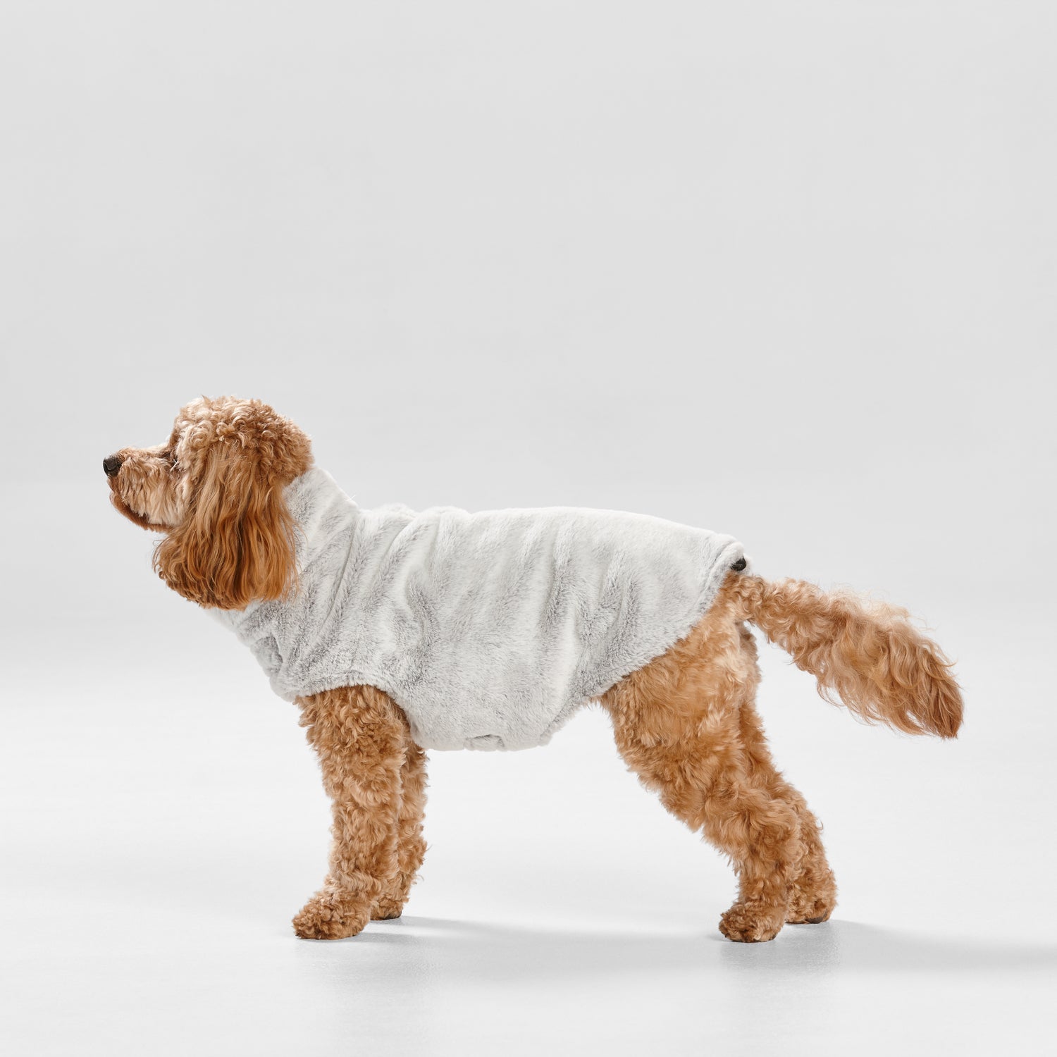 Snooza Wear – Faux Fur Coat – Arctic Wolf XS only Dog Coat Snooza
