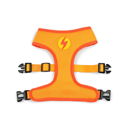 Dashi Dog Boom Neo Mesh Harness Woofy and Whiskers