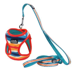CAAT HARNESS & LEASH COMBO DASH Woofy and Whiskers Scooby