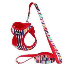 CAAT HARNESS & LEASH COMBO DASH Woofy and Whiskers Scout