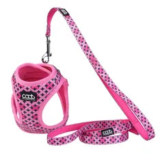 CAAT HARNESS & LEASH COMBO DASH Woofy and Whiskers ToTo
