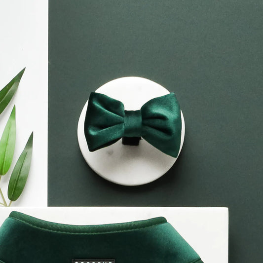 Cocopup London – LUXE Bow Tie – Forest Green Velvet pet apparel bow tie Cocopup London