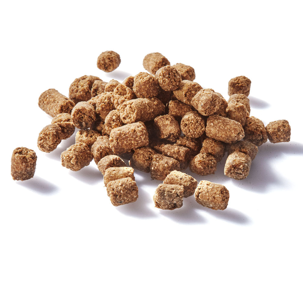 Chicken Training Bites 100g Woofy and Whiskers