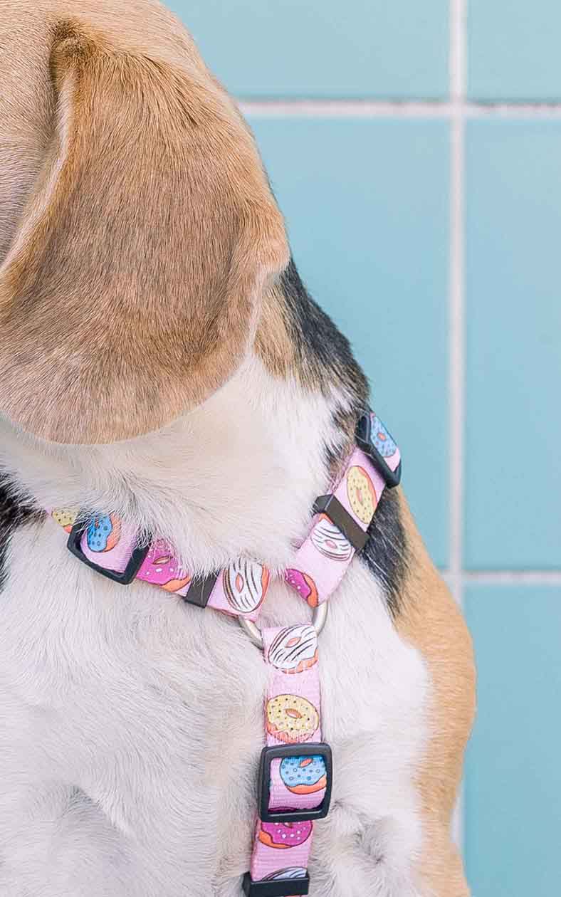 Dashi Donut Back Harness Dog Harness DASHI