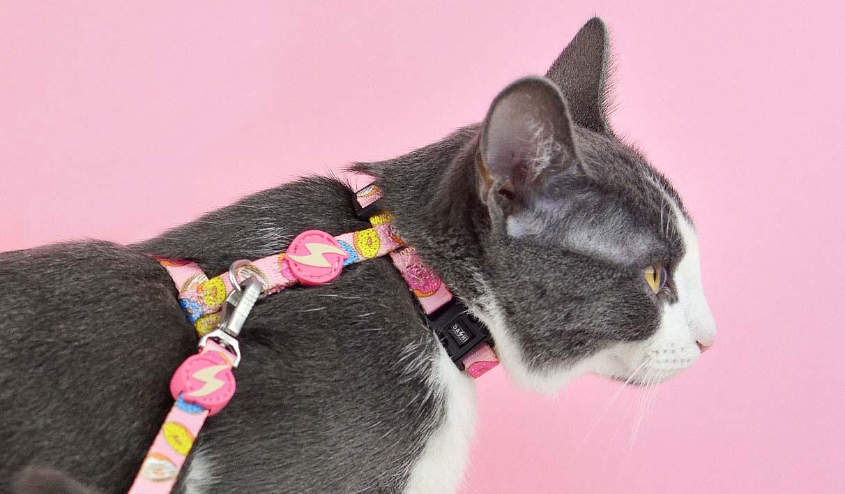 Dashi Donut Cat Harness + Leash cat harness DASHI