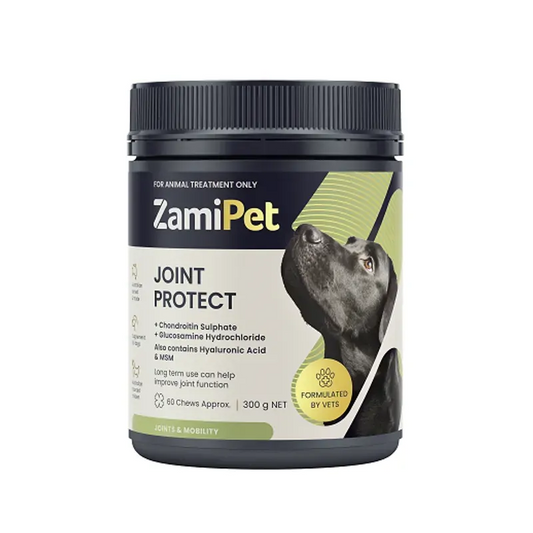 Zamipet Joint Protect For Dogs 150G 30 Chews Pet Vitamins & Supplements Zamipet 30 chews