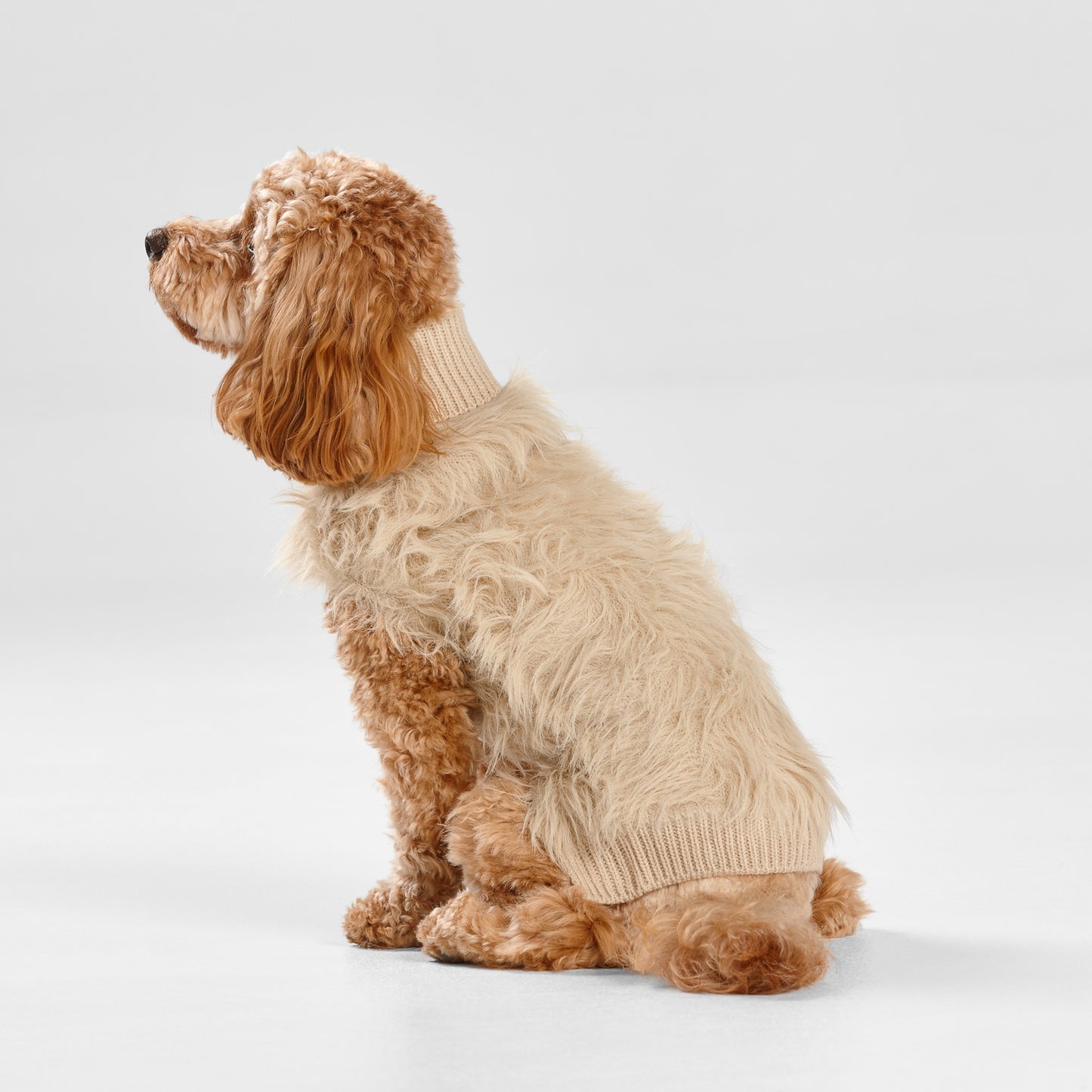 Snooza Wear – Fur Knit Jumper – Ecru Dog Apparel Snooza