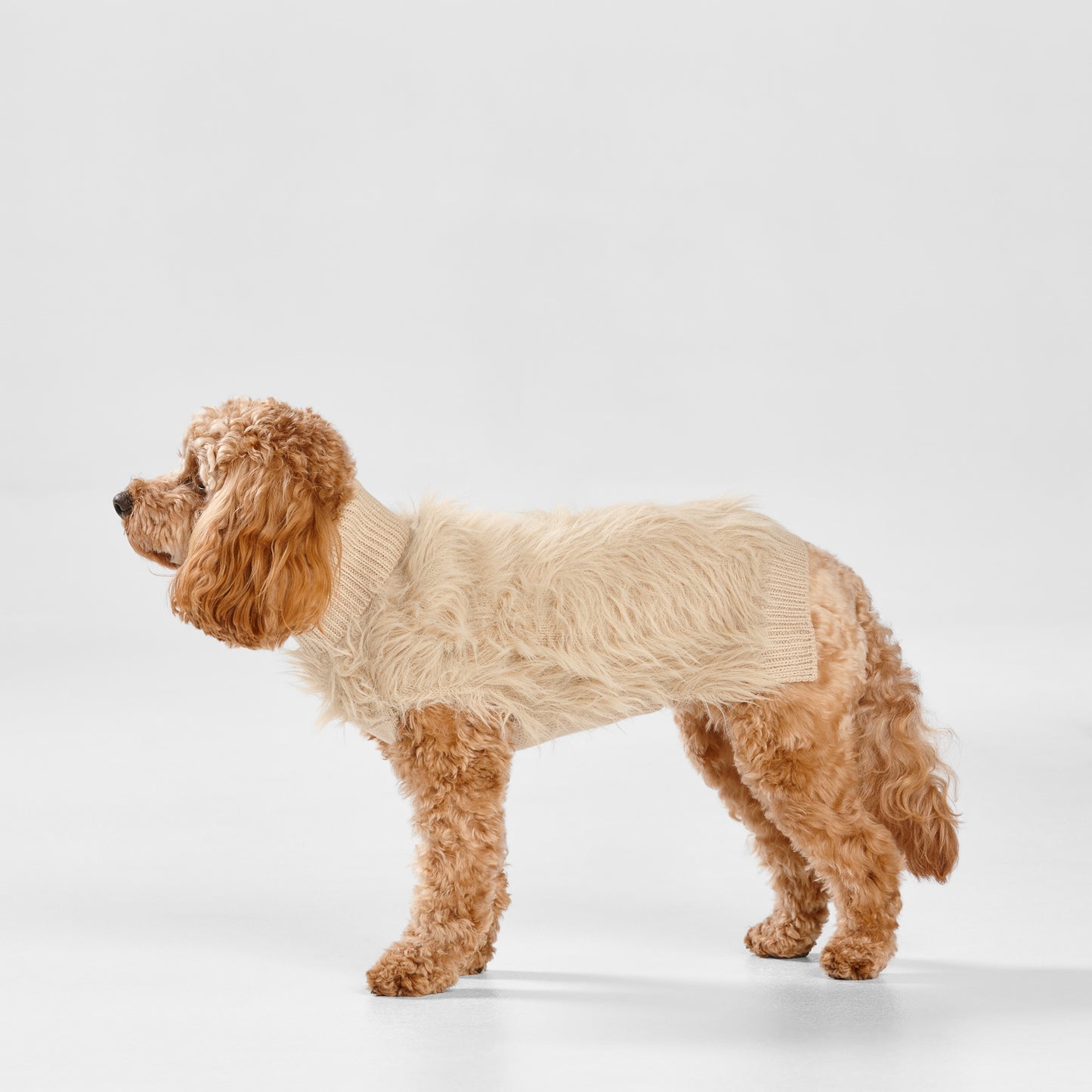 Snooza Wear – Fur Knit Jumper – Ecru Dog Apparel Snooza