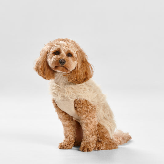 Snooza Wear – Fur Knit Jumper – Ecru Dog Apparel Snooza XL