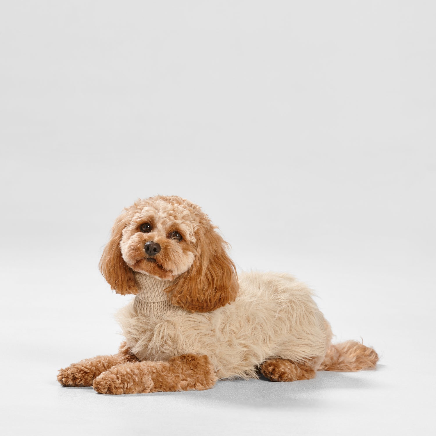 Snooza Wear – Fur Knit Jumper – Ecru Dog Apparel Snooza