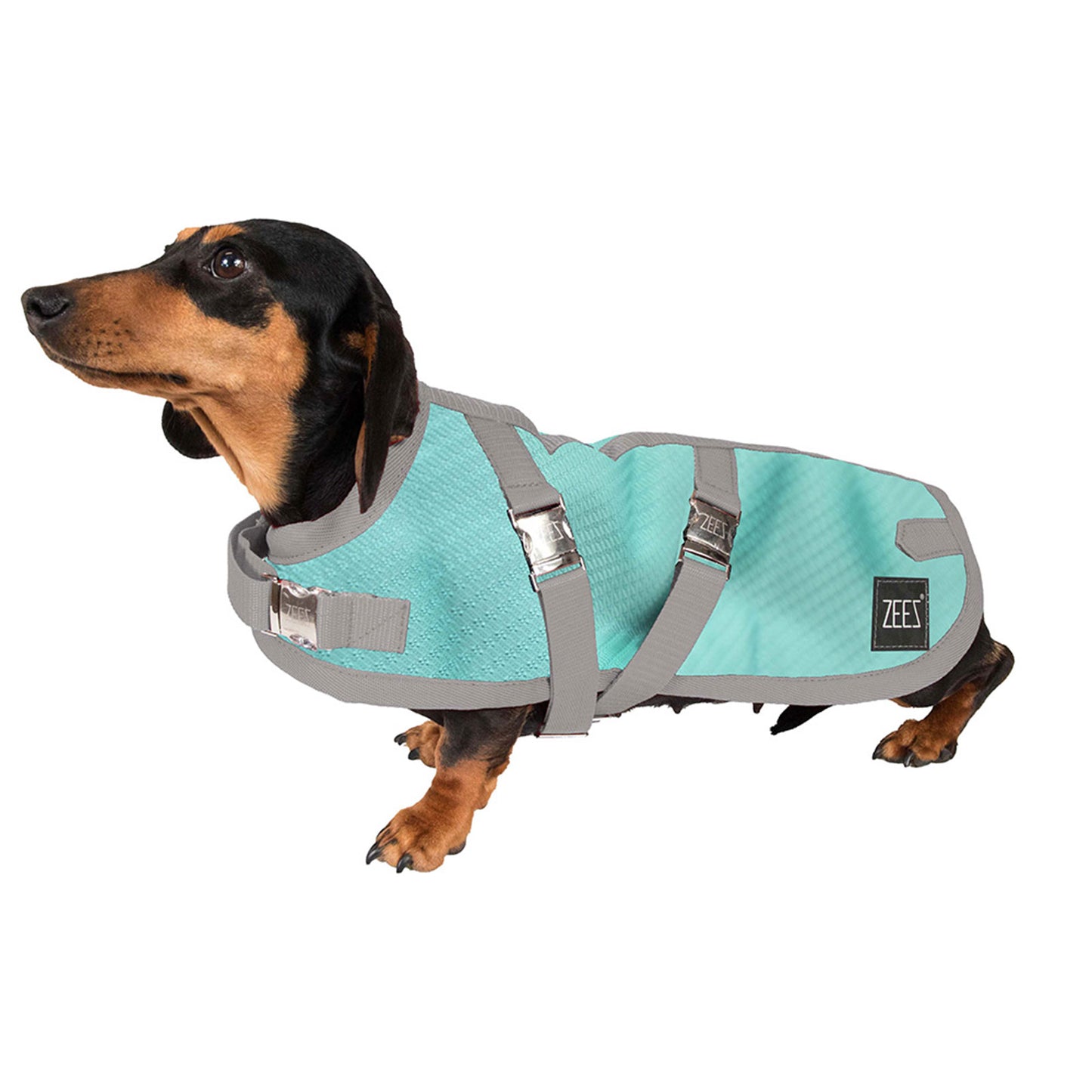 ZeeZ – Waterproof Supreme Dachshund Dog Coat – Navy Stone/Red Dog Coat ZEES 17 Mint