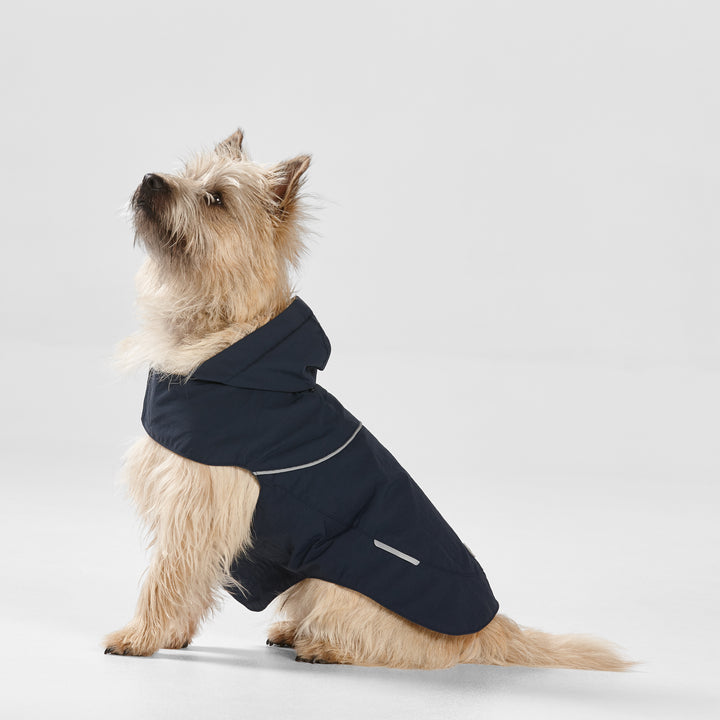Dog wearing a navy blue  raincoat on a light gray background