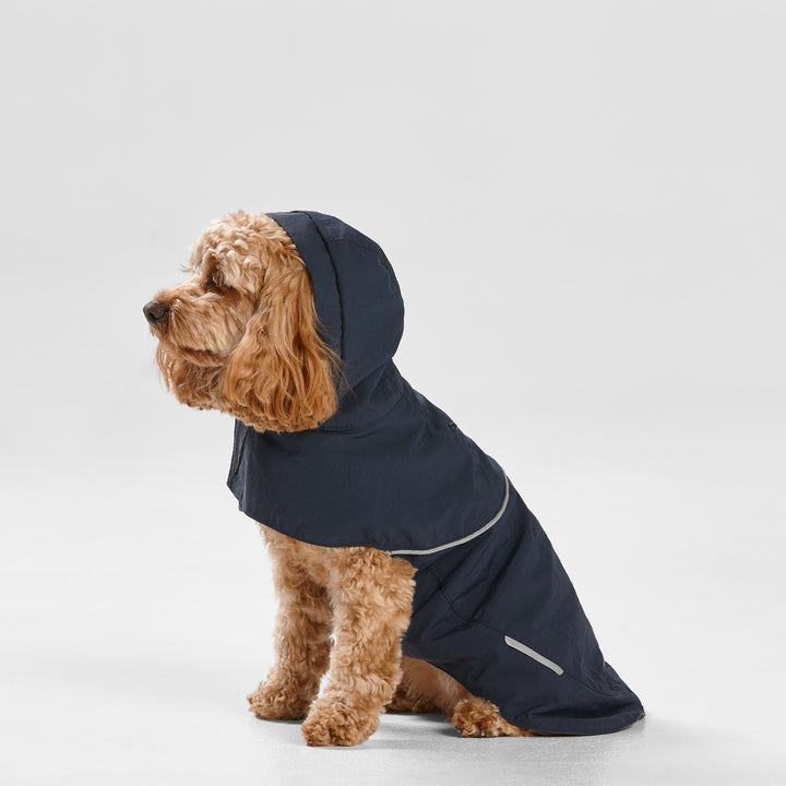 Dog wearing a navy blue raincoat on a light gray background