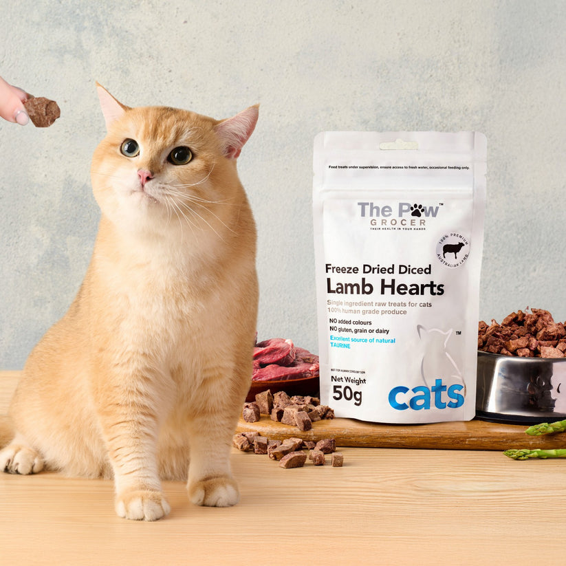 The paw grocer - freeze dried diced Lamb hearts - for Cats Woofy and Whiskers