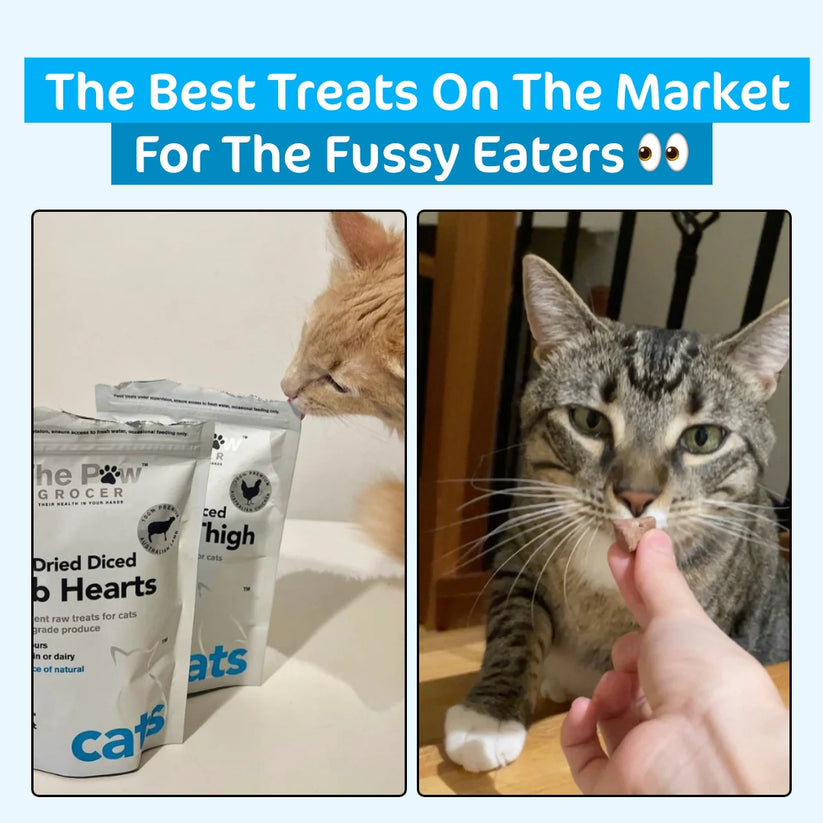 The paw grocer - freeze dried diced Lamb hearts - for Cats Woofy and Whiskers