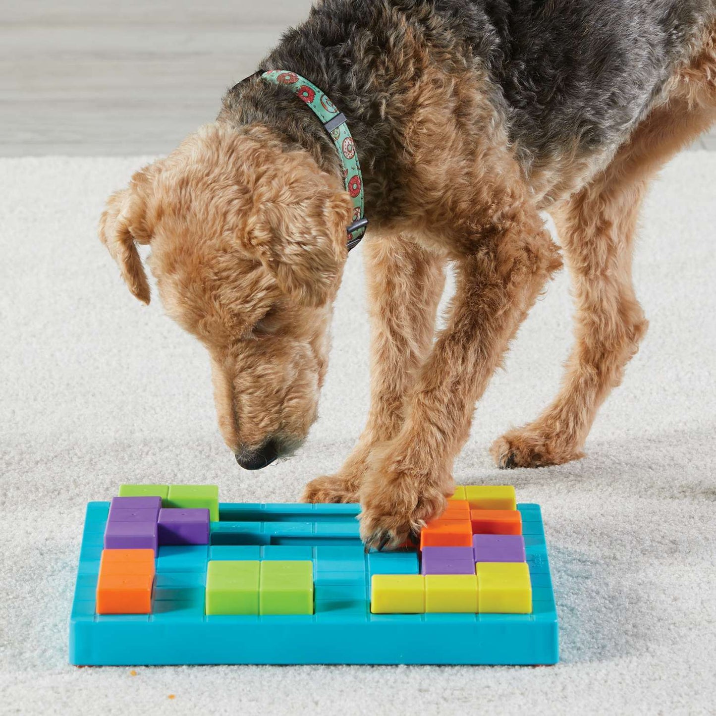 Brightkins Brain Teaser Interactive Dog Treat & Food Puzzle Interactive dog puzzle brightkins