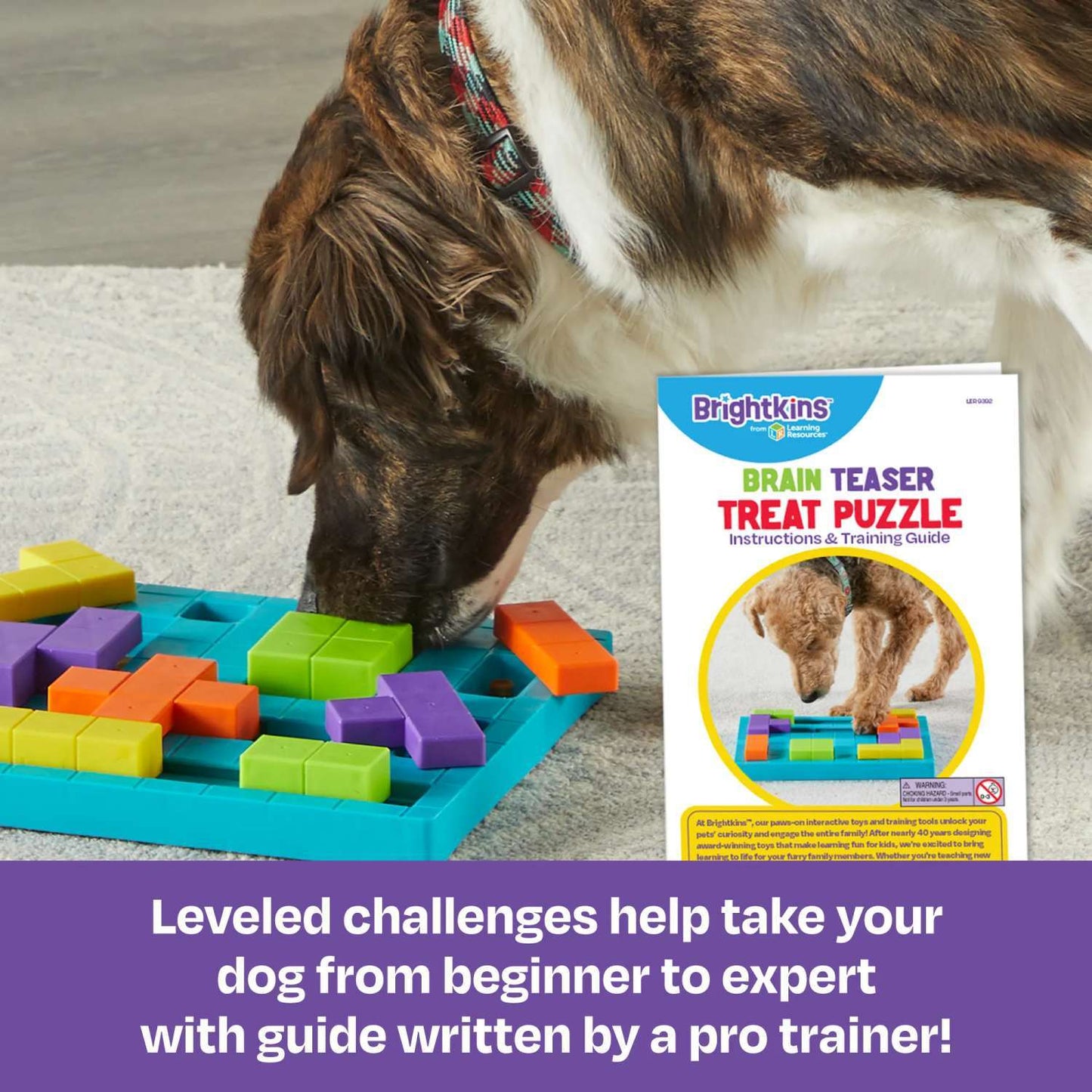 Brightkins Brain Teaser Interactive Dog Treat & Food Puzzle Interactive dog puzzle brightkins