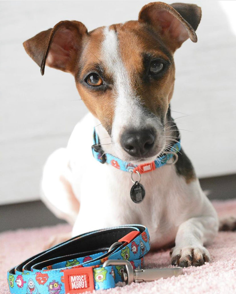 Max and Molly Dog Lead - Large Size - Various Designs - Woofy and Whiskers- Pet Care > Dog Supplies Max & Molly Urban Pets