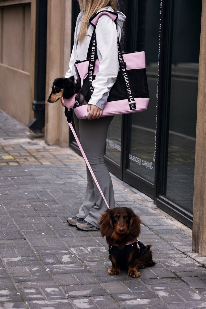 URBAN SPORT pet Tote carrier - Beige green Woofy and Whiskers