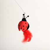 Bug Bounce Cat Teaser Ladybug