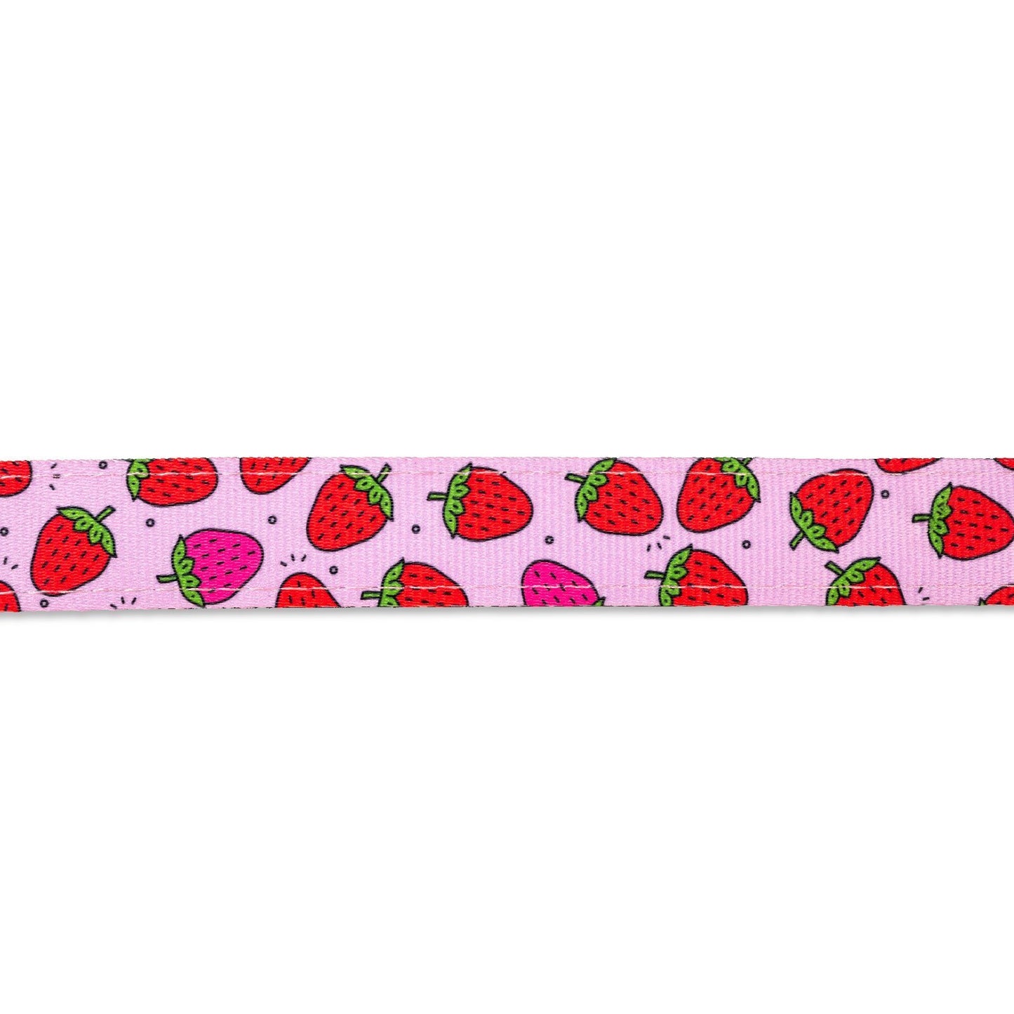 Max and Molly Smart ID Cat Collar Cat Collar Max and Molly Strawberries