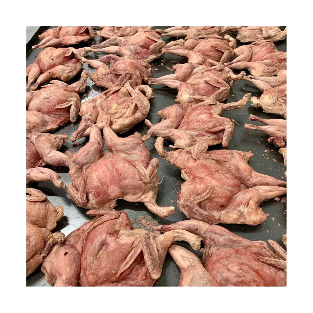 Freeze-Dried Raw Whole Quail Treat (1 piece) Dog treats freezy paws