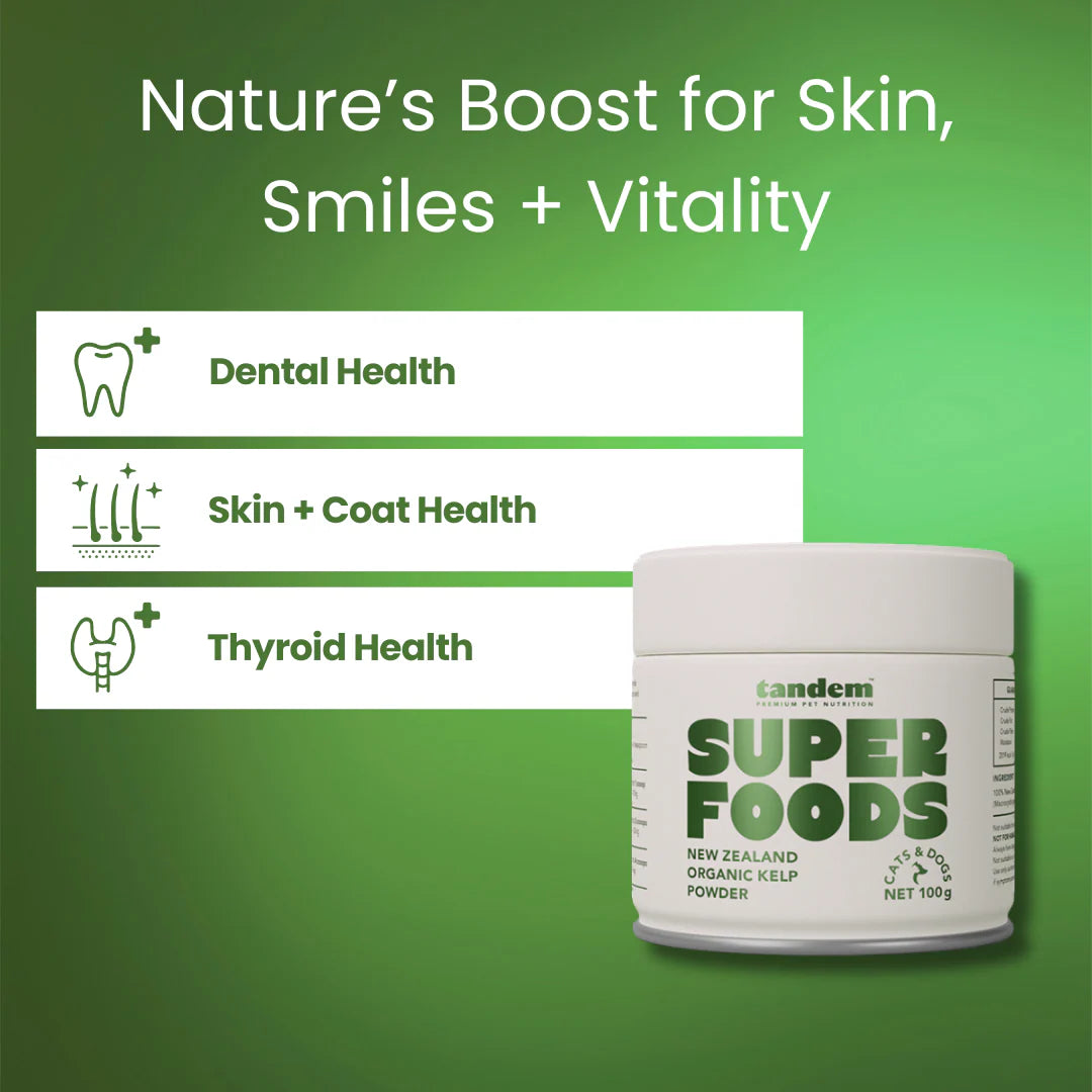 Tandem – Super Foods – New Zealand Organic Kelp Powder Woofy and Whiskers