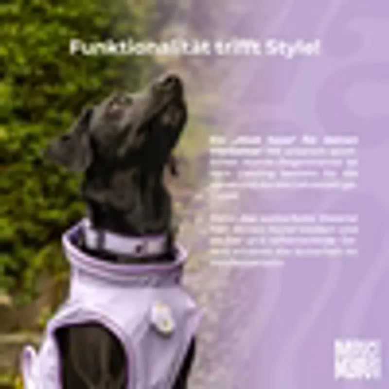 MAX & MOLLY RAINCOAT 50CM - MATRIX 2.0 LAVENDER/S Dog Apparel Max and Molly