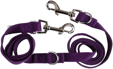 Beau Pets – Adjustable Webbing Lead Woofy and Whiskers Purple