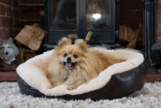 Rosewood FAUX Leather Oval Bed dog bed Rosewood
