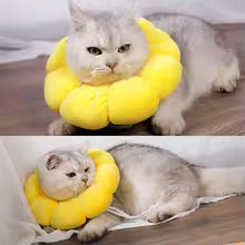 Plush surgical recovery collar