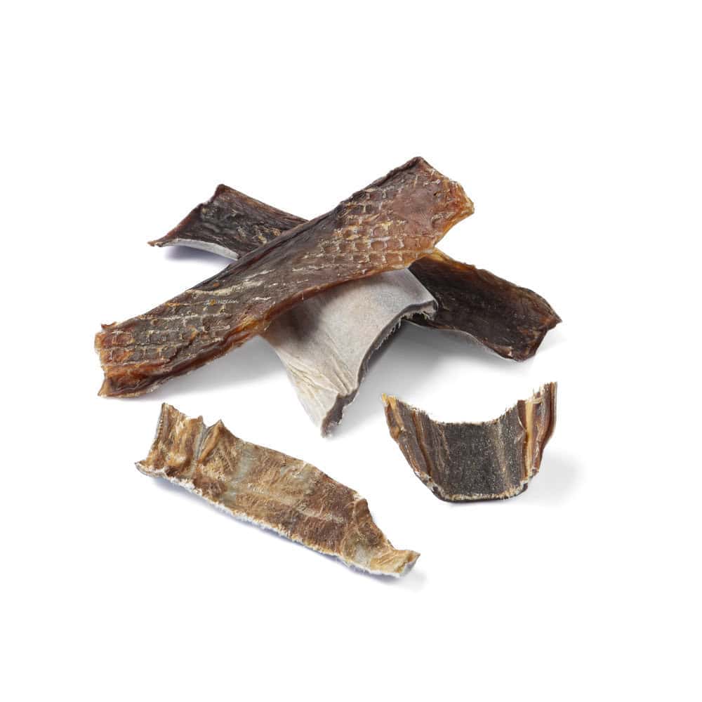 Shark Skin Bites (small) Woofy and Whiskers