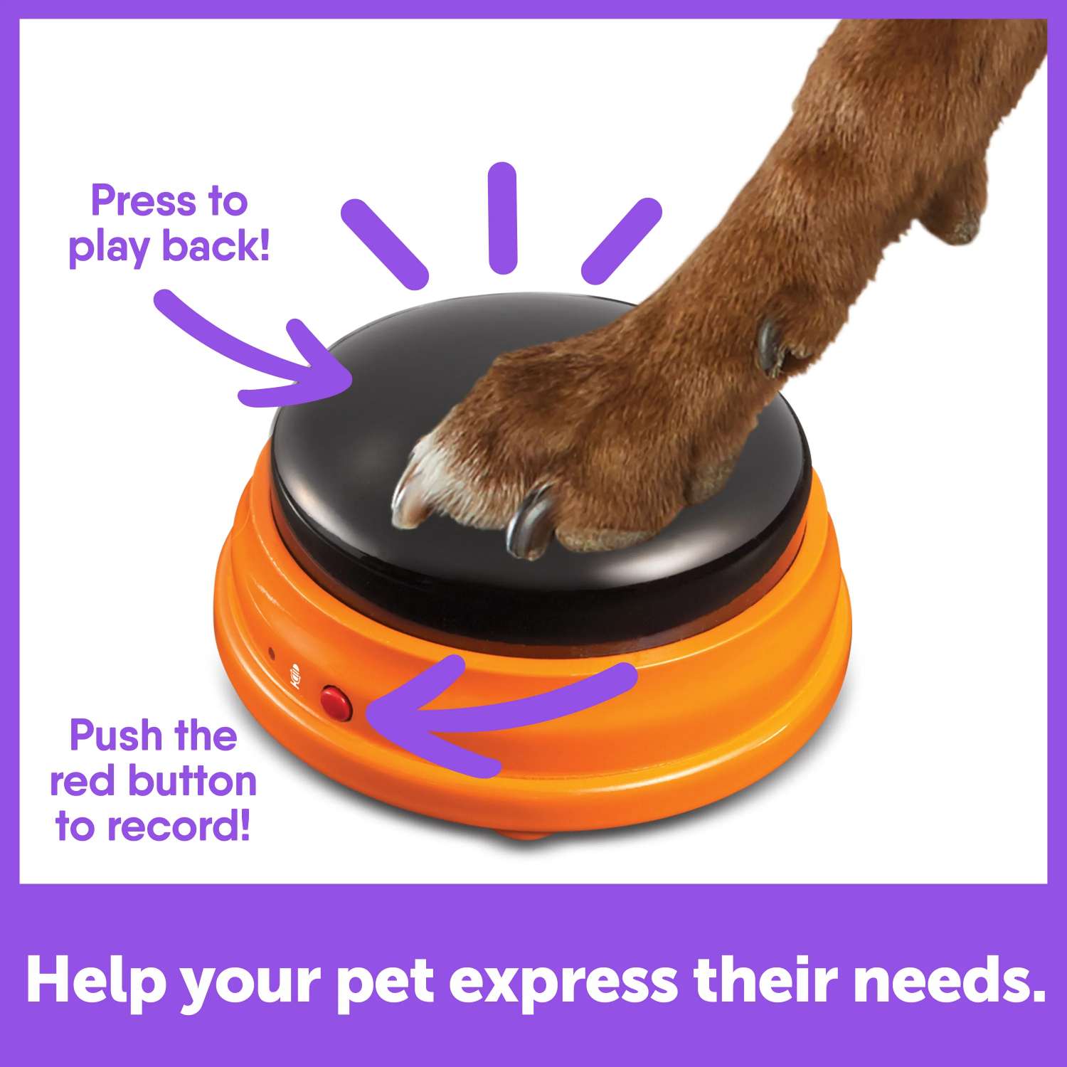 Hunger For Words Talking Pet Starter Set interactive dog toy Hunger for words