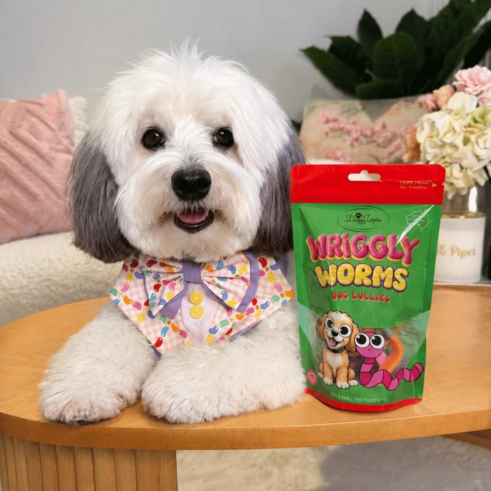 Wriggly Worm Dog Lollies