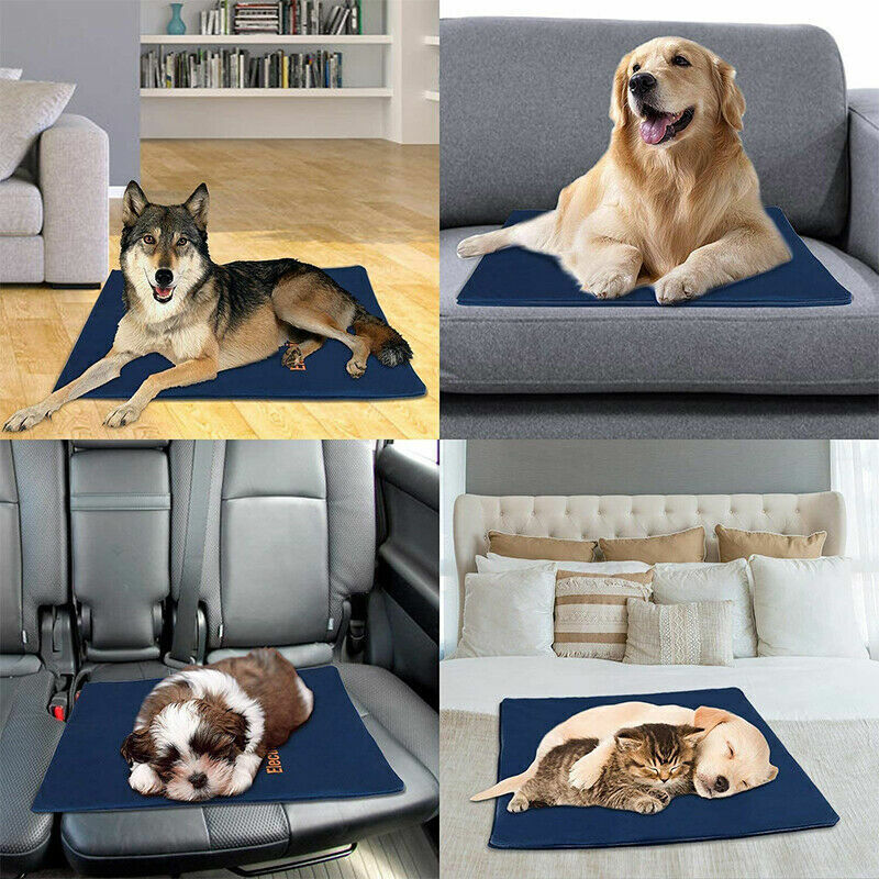 Electric Pet Heat Pad: Waterproof Heating Mat for Cat Dog Bed | Chew Resistant XL Pet Care > Dog Supplies > Dog Kennels Woofy and Whiskers