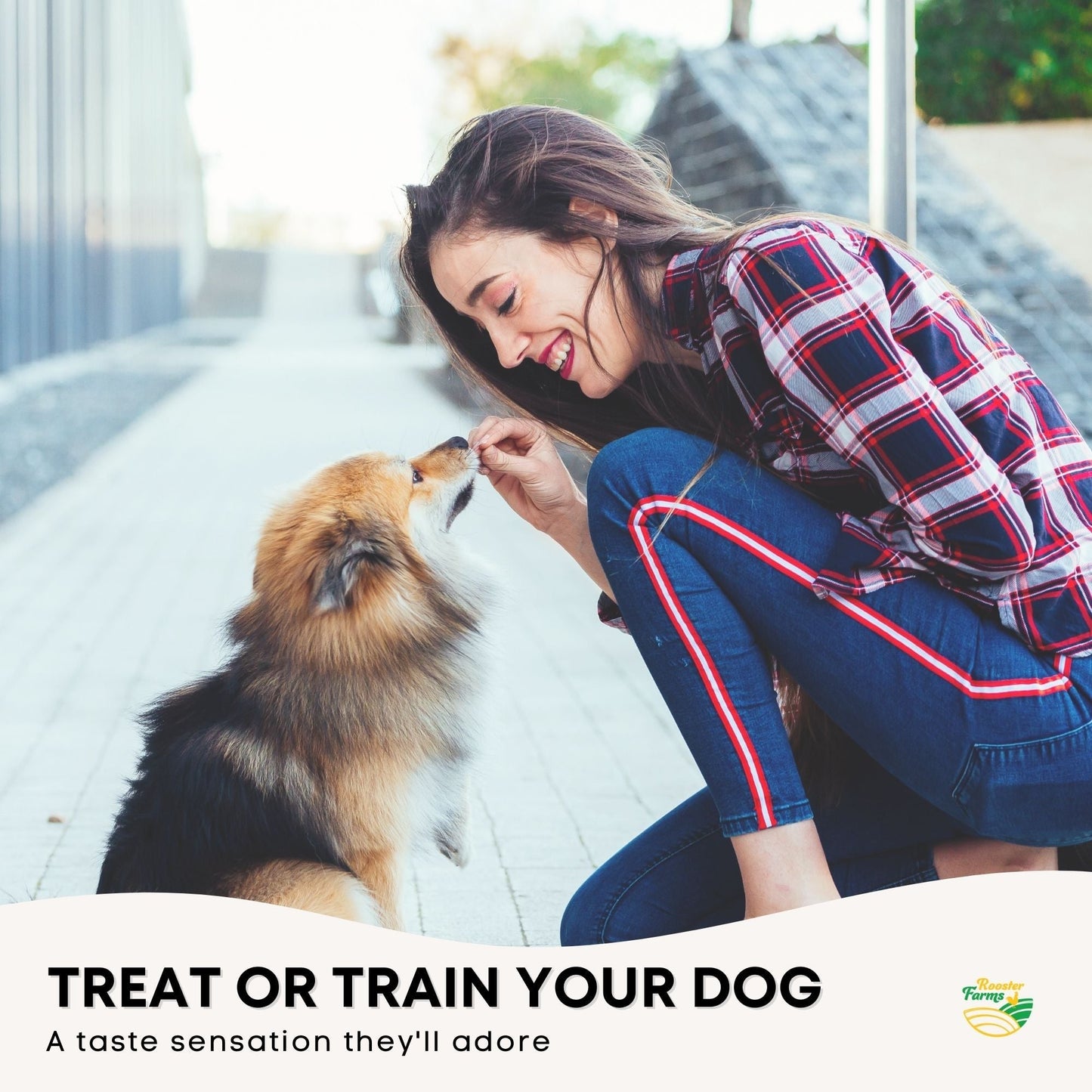 2Kg Dog Treat Beef Liver Pieces - Dehydrated Australian Healthy Puppy Chew Pet Care > Pet Food > Dog Food Rooster Farm