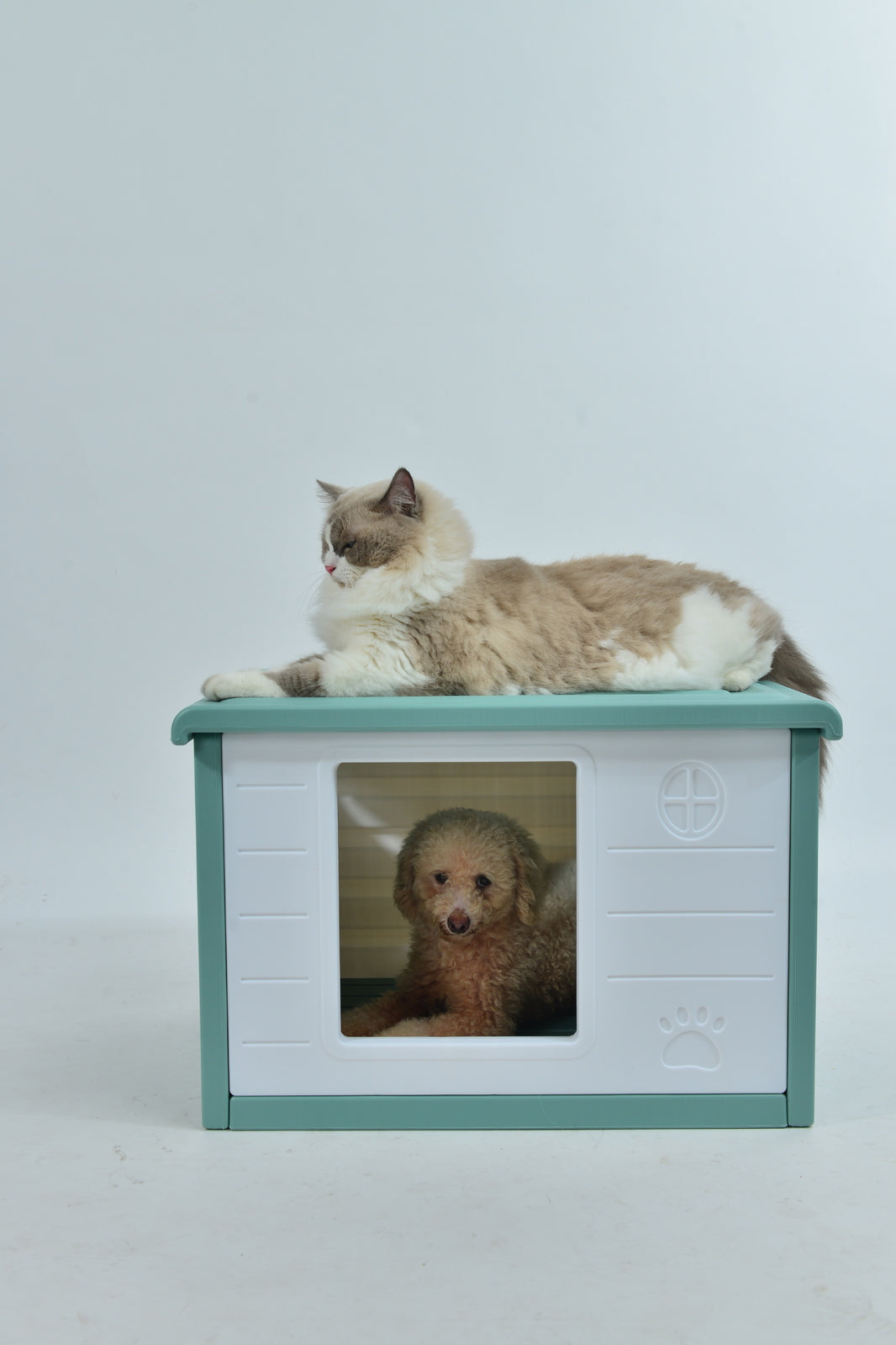 YES4PETS Small Plastic Pet Dog Puppy Cat House Kennel Green Pet Care > Cat Supplies > Cat Furniture Woofy and Whiskers
