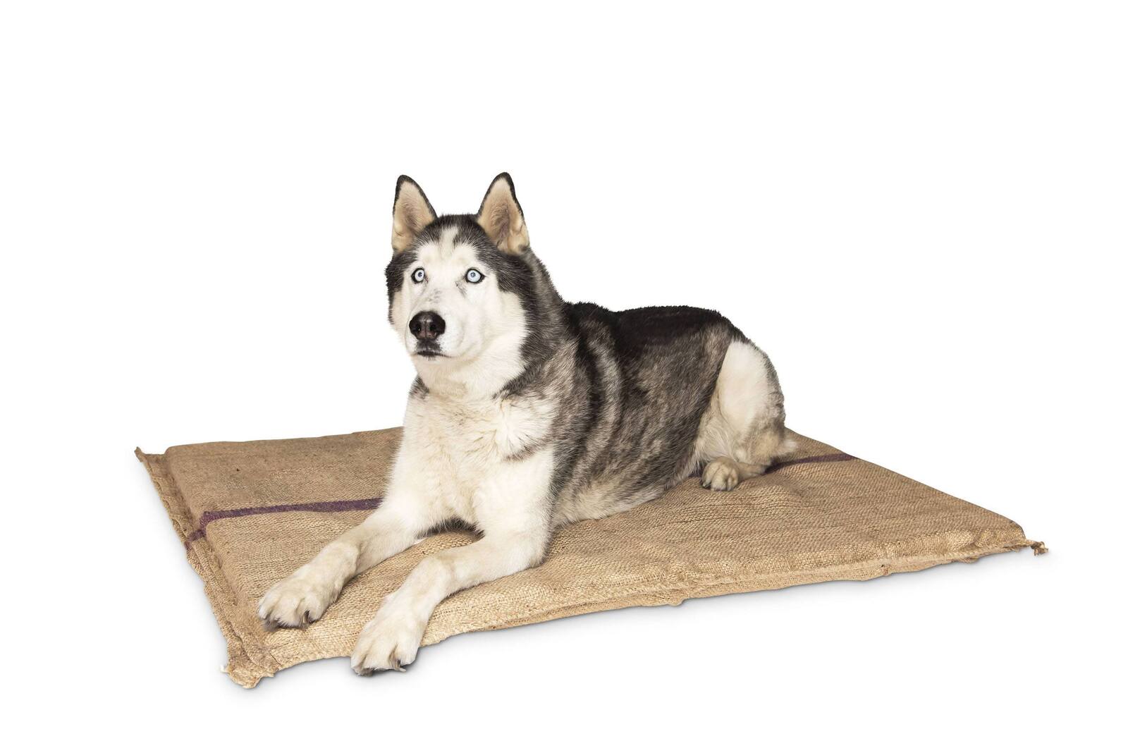 Jumbo Hessian Pet Dog Puppy Bed Mat Pad House Kennel Cushion With Foam 110 x 78 cm Pet Care > Dog Supplies > Dog Beds Woofy and Whiskers