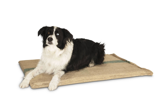 YES4PETS Large Hessian Pet Dog Puppy Bed Mat Pad House Kennel Cushion With Foam Pet Care > Dog Supplies > Dog Beds Woofy and Whiskers