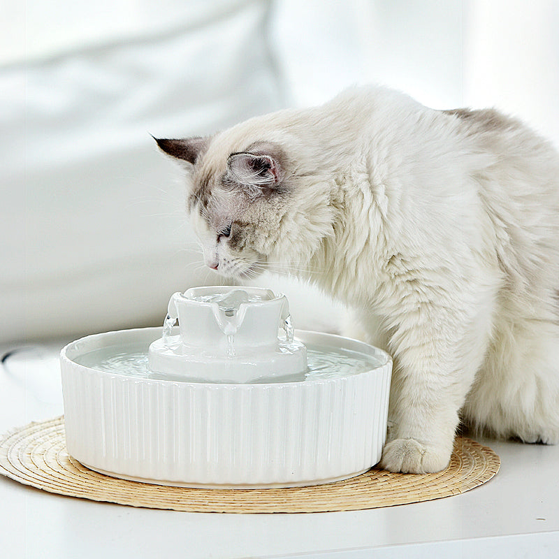 YES4PETS Ceramic Electric Pet Water Fountain Dog Cat Water Feeder Bowl Dispenser Pet Care > Dog Supplies > Dog Bowls, Feeders & Waterers Woofy and Whiskers