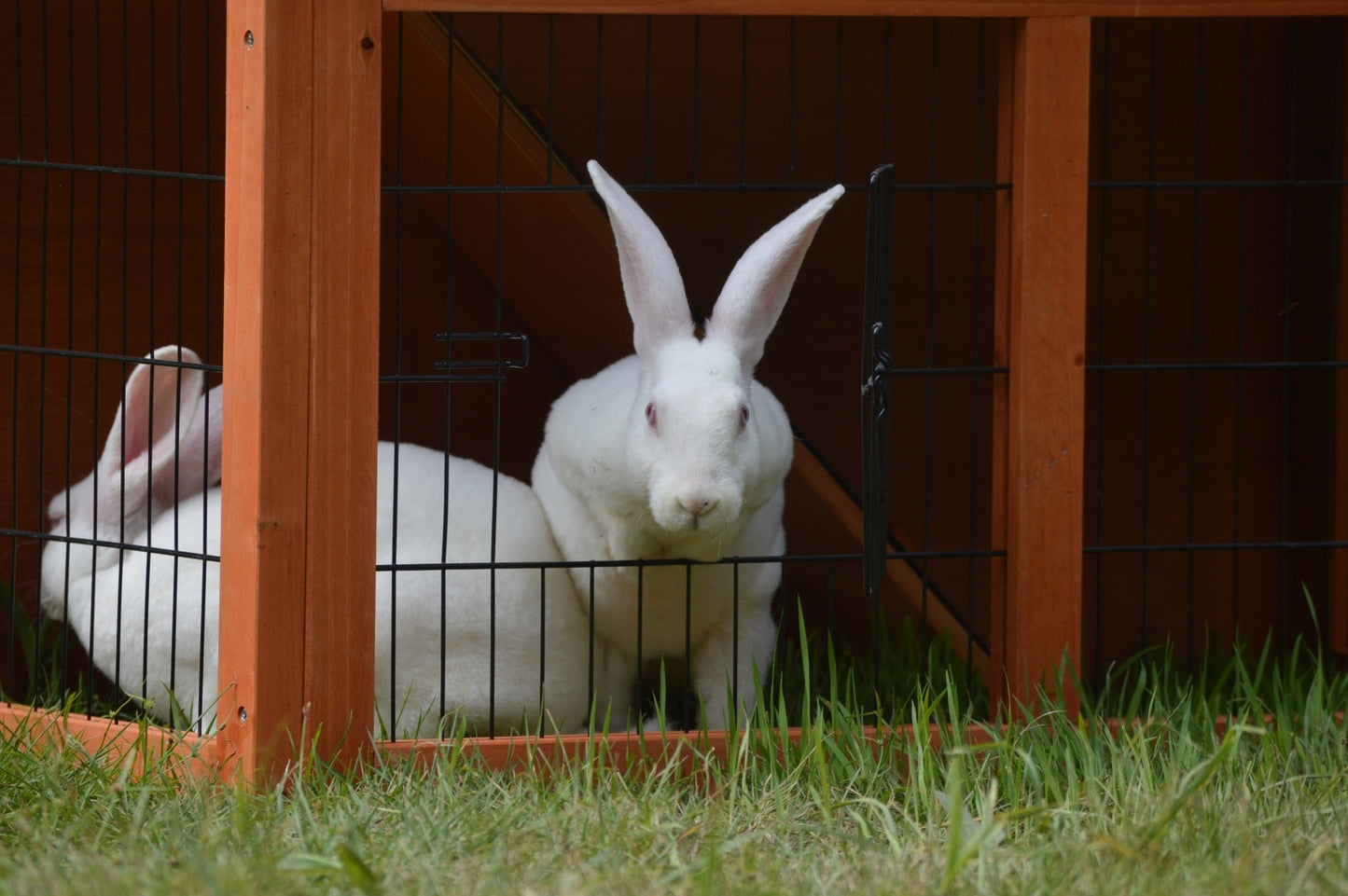 YES4PETS Double Storey Rabbit Hutch Guinea Pig Cage , Ferret cage W Pull Out Tray Pet Care > Coops & Hutches > Small Animal Habitats & Cages YES4PETS