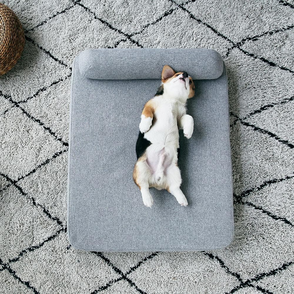 PETKIT Deep Sleep Mattress- M Pet Care > Dog Supplies > Dog Beds Woofy and Whiskers