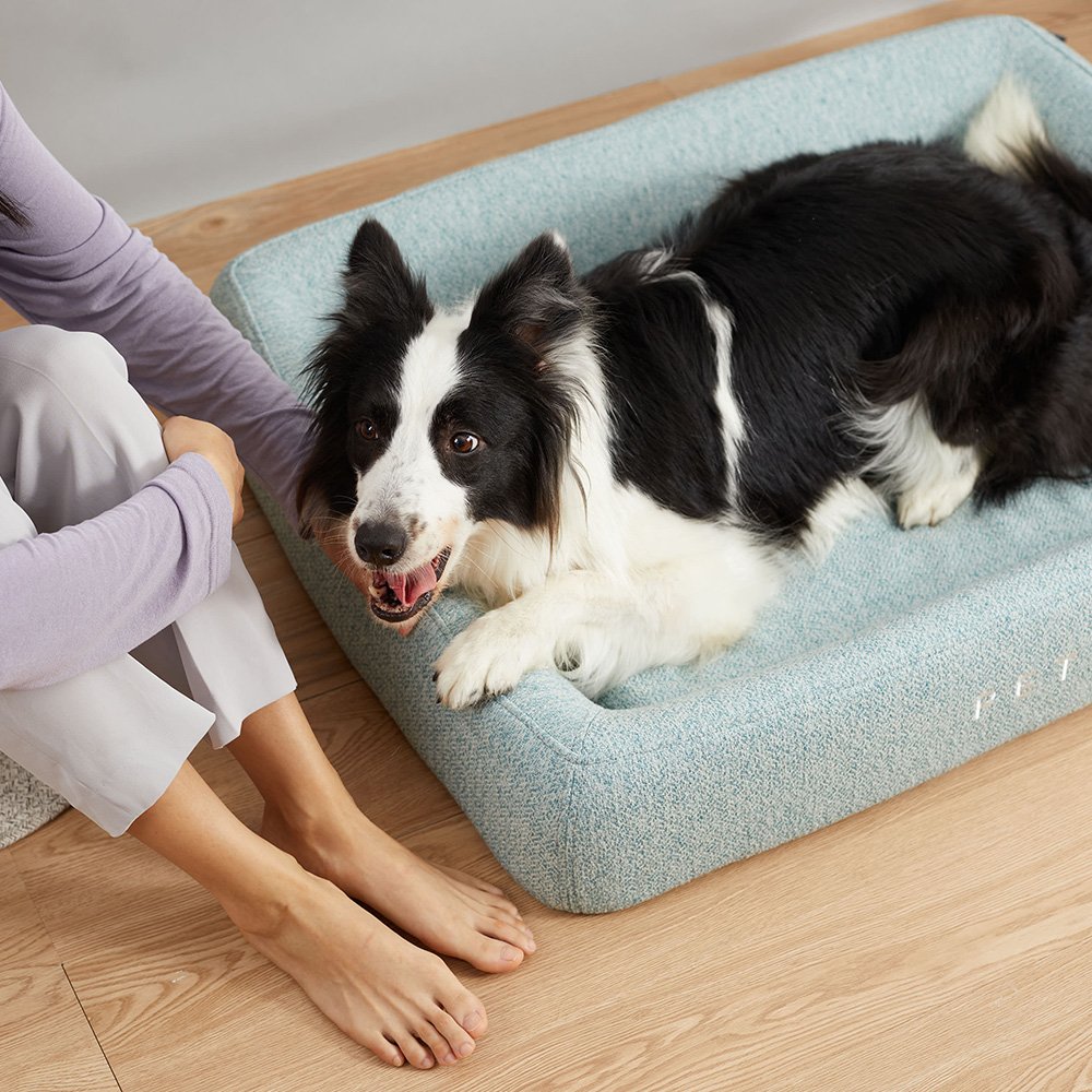 PETKIT Four Season Sleep Bed - L Pet Care > Dog Supplies > Dog Beds Woofy and Whiskers